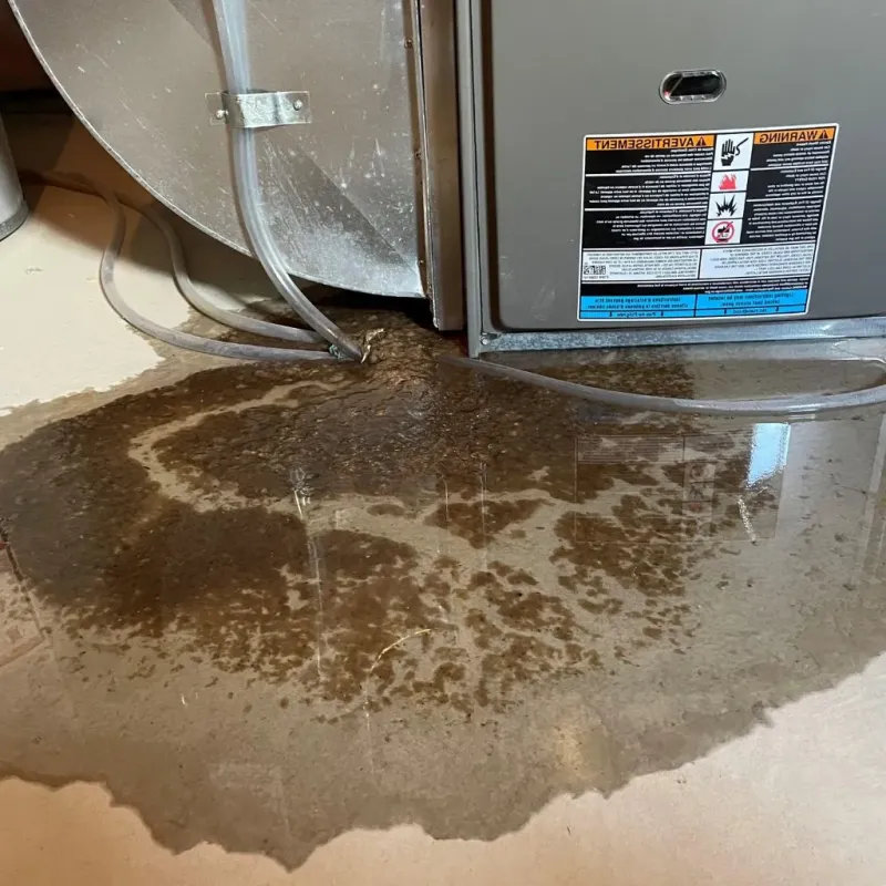 Pipe Burst and Leak Restoration in Alliance, NE
