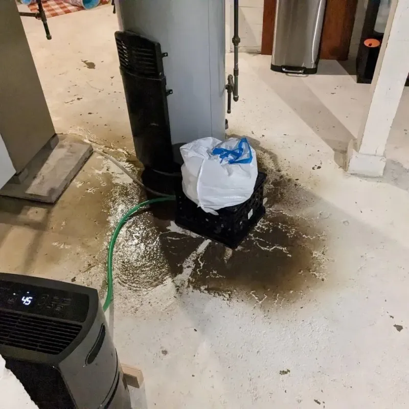 Sewage Backup Cleanup Service in Alliance, NE